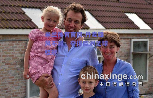 米兰体育官网:丹麦雄风不减，夺得欧洲足球桂冠